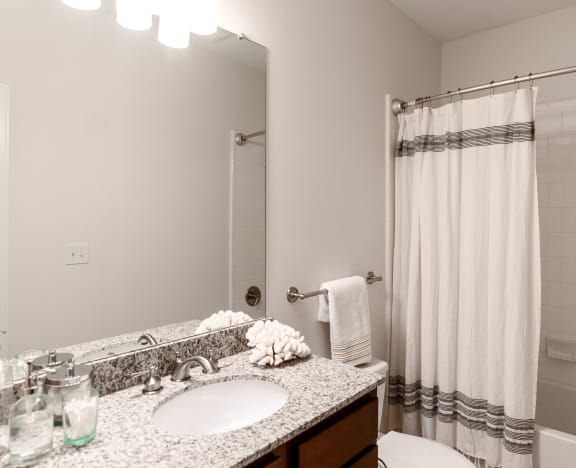 Roman Soaking Tub and Walk In Closet