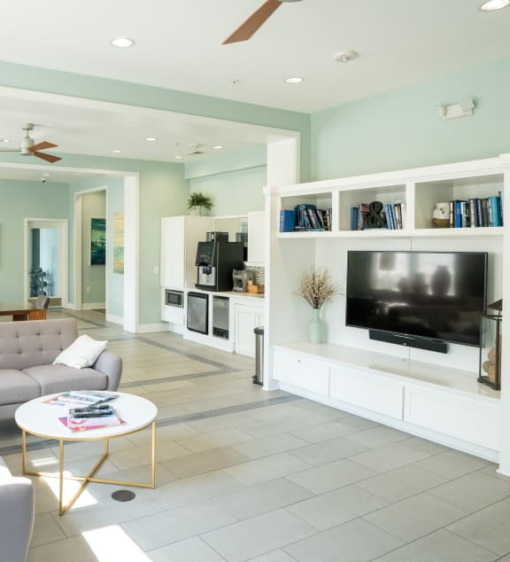 a living room with a couch and a television
