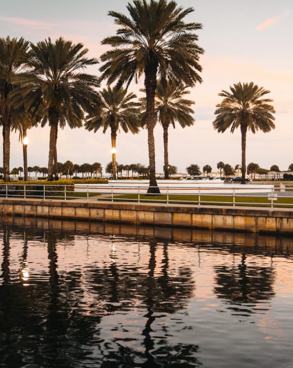 Lake View at Avilla Suncoast, Florida