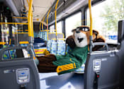 Thumbnail 5 of 10 - A bus with a mascot in a green jersey sitting in the front seat.