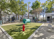 Thumbnail 13 of 45 - The Michael B is proud to unveil our newly renovated dog park, a perfect space for your furry friends to play and socialize.