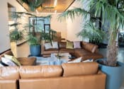 Thumbnail 9 of 23 - a living room with brown leather couches and plants