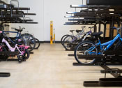 Thumbnail 2 of 23 - a group of bikes parked in a bike store