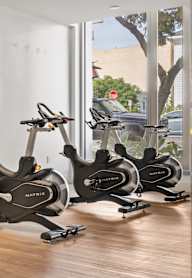 A row of stationary bikes are lined up in a room.