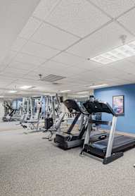 a gym with various cardio machines and weights in a large room