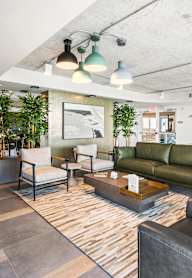 A modern living room with a green couch and a wooden floor.