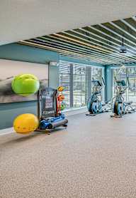A gym with a variety of equipment including a treadmill, weights, and a bench press.