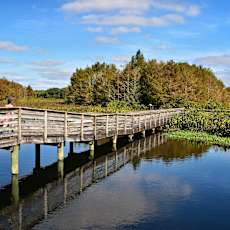 A wooden pier extends into a body of water with two people sitting on it.