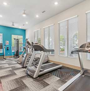 A gym with treadmills and other exercise equipment.