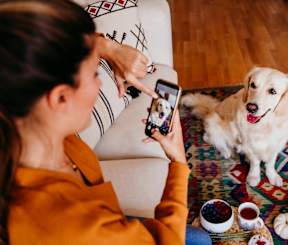 A woman is taking a picture of a dog with a smartphone.