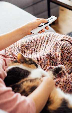 a woman sitting on a couch with a cat and a cell phone