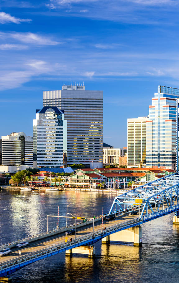 View of the city at Lake Lofts at Deerwood, Jacksonville, FL, 32216
