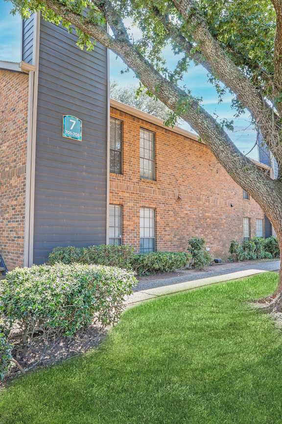 A tree is in front of a brick building with a number 7 on the front.