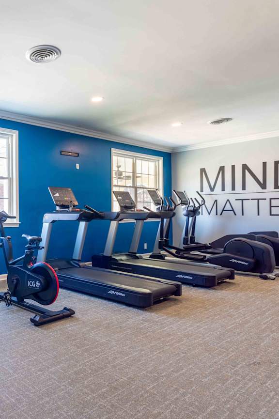 A gym with a row of treadmills and a row of dumbbells.