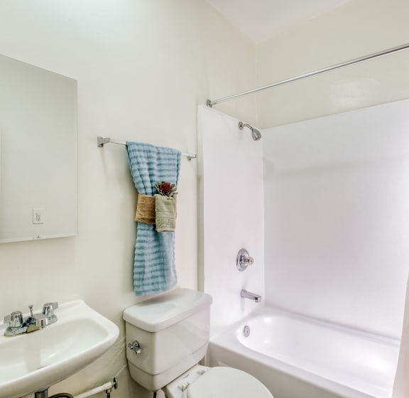 a bathroom with a sink toilet and a bath tub