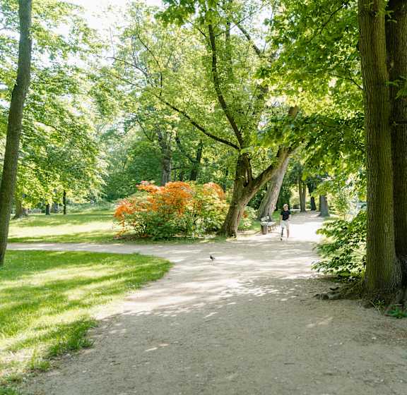 A path in a park with trees and a person walking.