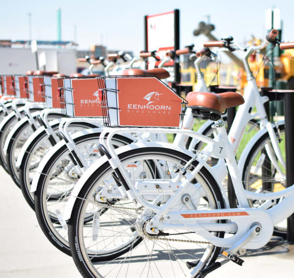 a row of white bikes parked next to each other