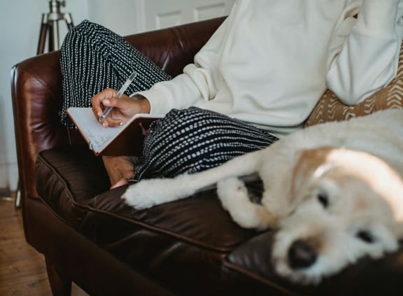 a person writing in a notebook with a dog on a couch