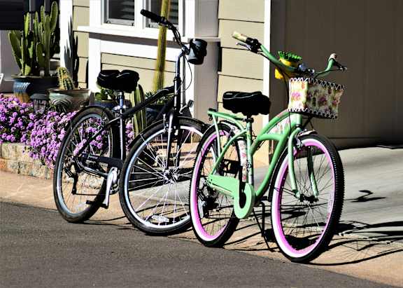 Bikes on parked on the street near flowers in Mesa, AZ