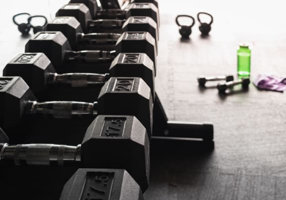 Free weight rack
