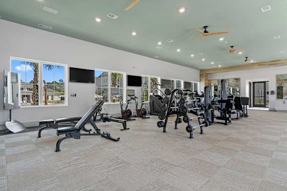 A spacious gym with a variety of equipment and a view of palm trees outside the windows.