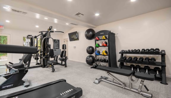the gym is stocked with weights and cardio equipment
