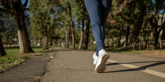 a person walking down a path in a park