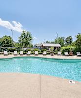 Pool With Sundecks at Anson at North Hills, North Carolina