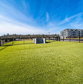 Paw Park