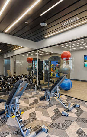 A gym with a variety of equipment including treadmills, weights, and exercise balls.