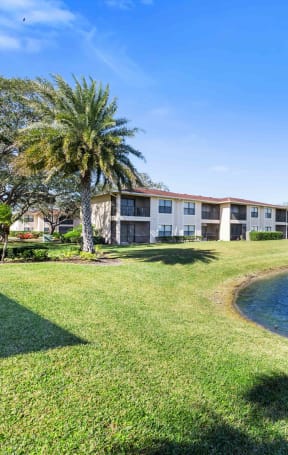 a pond with palm trees and apartment buildings in the background