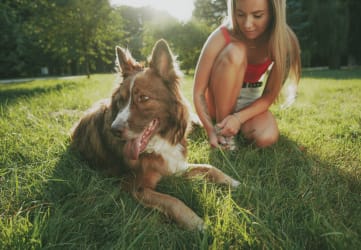 a girl and her dog laying in the grass