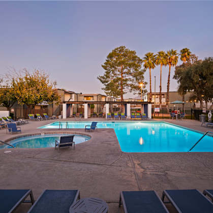 A large outdoor swimming pool surrounded by lounge chairs and palm trees.