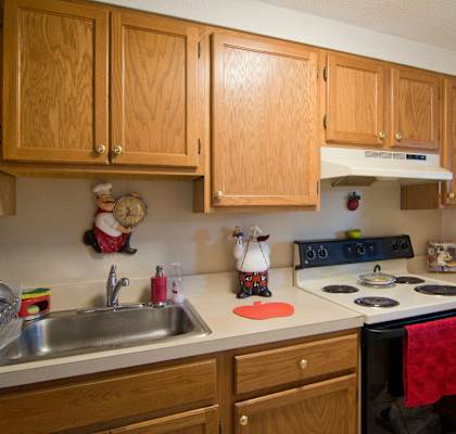 a kitchen with a stove and a sink