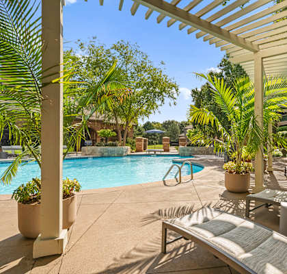 A pool surrounded by palm trees and lounge chairs.