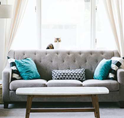 a living room with a gray couch and a cat sitting in the window