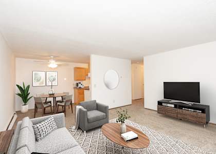 A living room with a grey couch, a wooden coffee table, and a television.