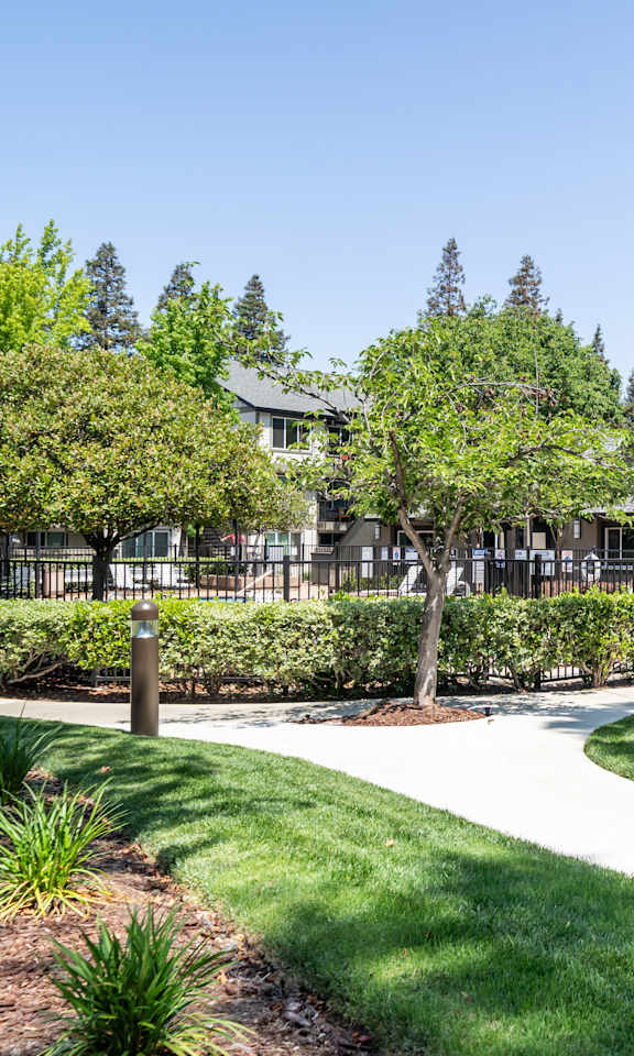 A residential area with houses and well-maintained lawns.