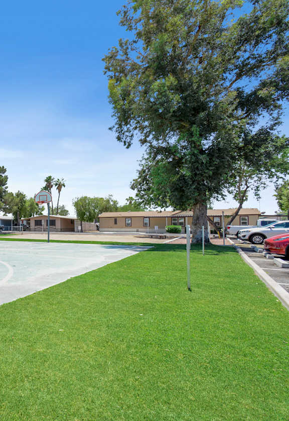 Basketball court