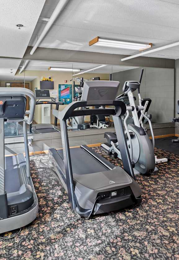 A gym with treadmills and exercise machines.