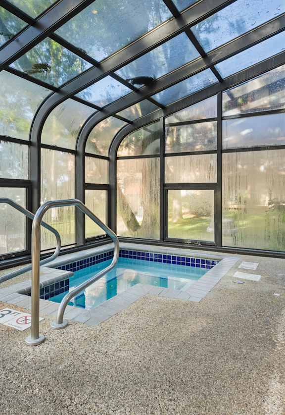 A small indoor pool with a glass ceiling.