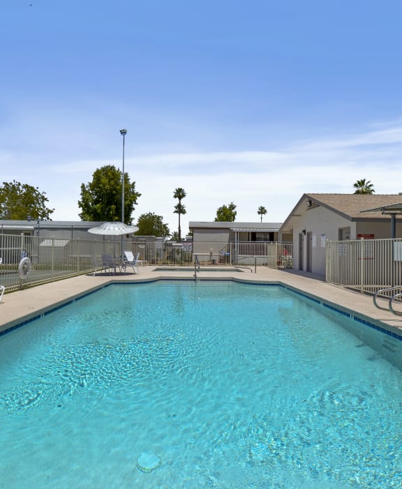 Paradise Groves pool area