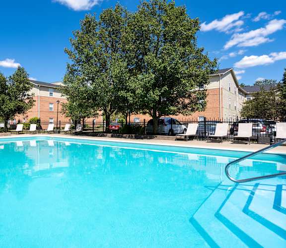 A swimming pool with a blue tiled edge and a white ladder on the right side.