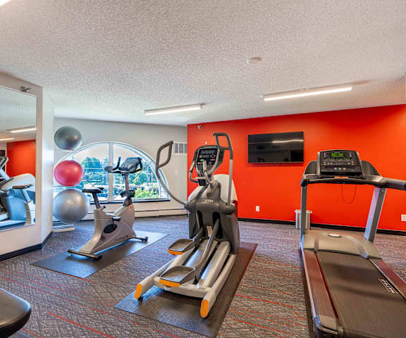 a gym with exercise equipment and a view of the city