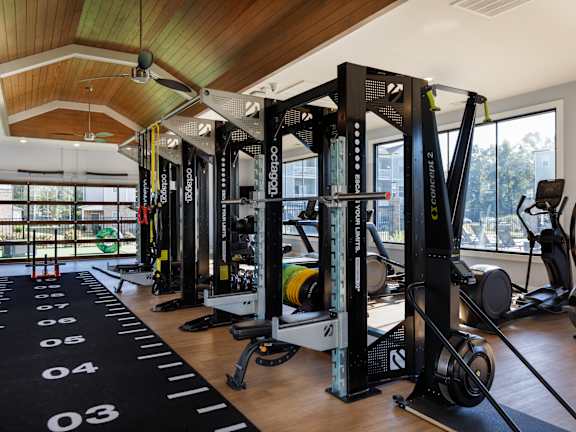 A gym with a row of squat racks and a black mat with numbers on it.