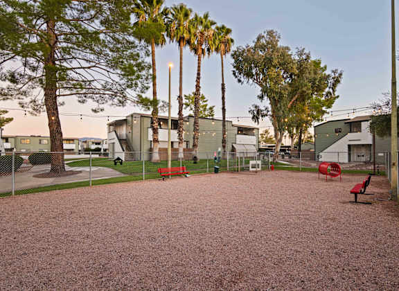A park with benches and palm trees.