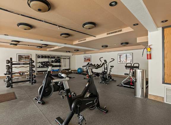 A gym with exercise equipment and a fire extinguisher.
