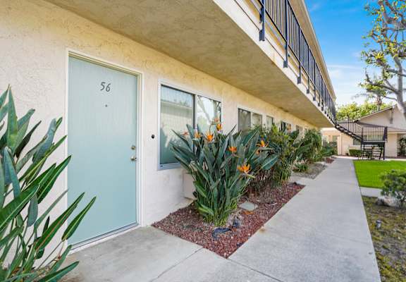 A blue door with the number 56 on it is on the left side of a building.