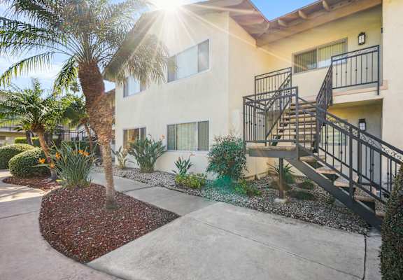 A sunny day at a modern apartment complex with a palm tree in the front yard.