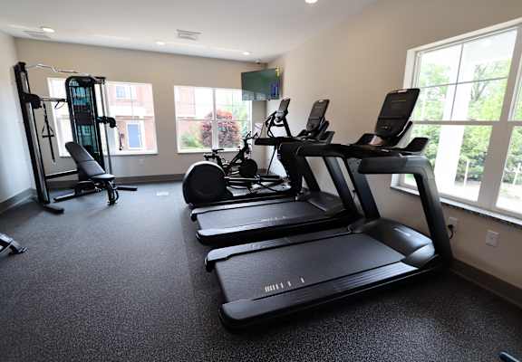 A gym with treadmills, elliptical machines, and a weight machine.